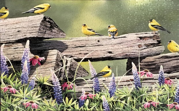 Rail Tie Rendezvous.jpg